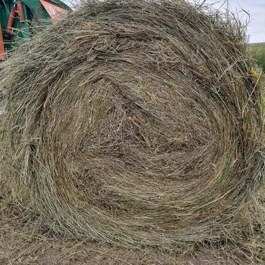 Продам сено в рулонах, свежее