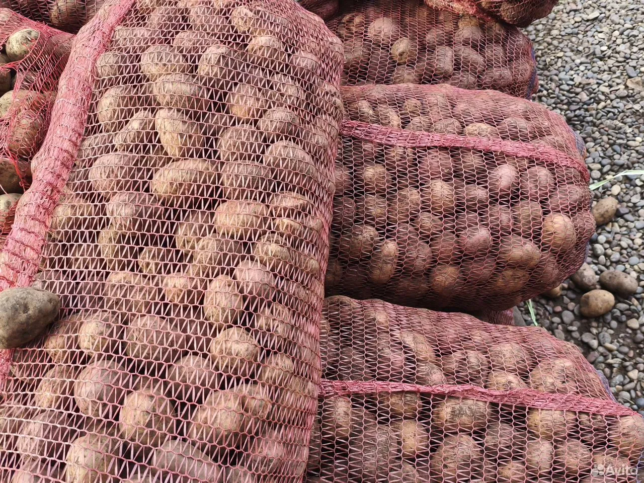 Продам картофель, Минусинск