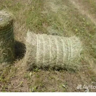 Продам сено в тюках