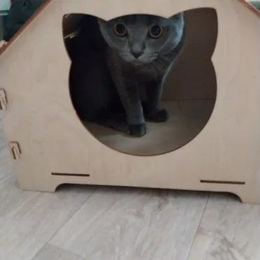 Домик для котов