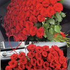 Цветы. Розы 101 Букеты Доставка
