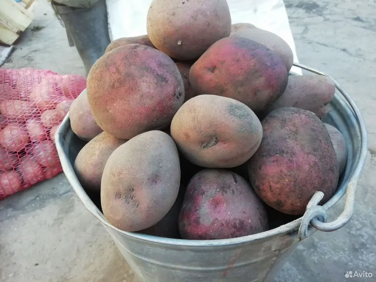 Продам картофель, Курск