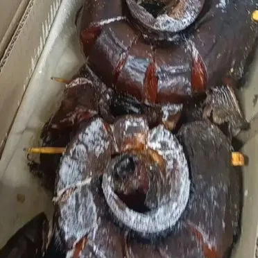 Сом холодного копчения