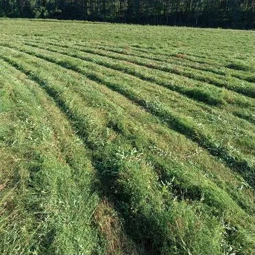 Сено