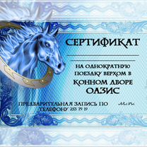 Сертификат на прогулку верхом, Казань