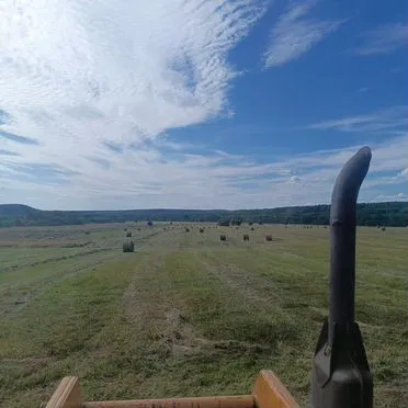 Сено в рулонах