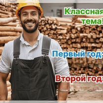 Агентство по деревообработке в городе, Лима