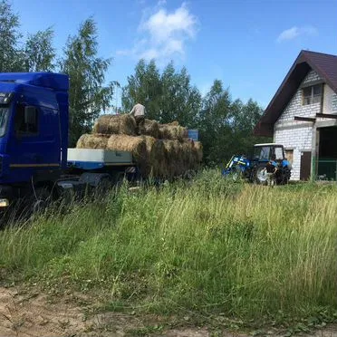 Качественное сено в рулонах